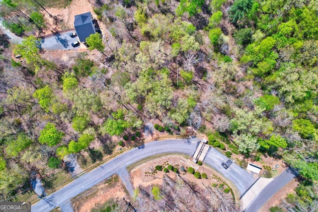LOT1 Jakes Landing Way N, Ellijay, GA 30540