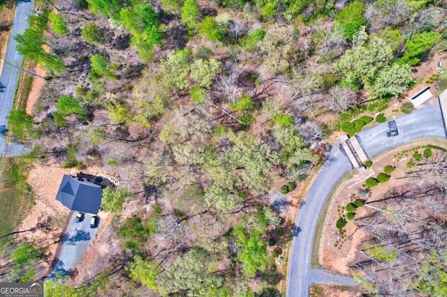 LOT1 Jakes Landing Way N, Ellijay, GA 30540