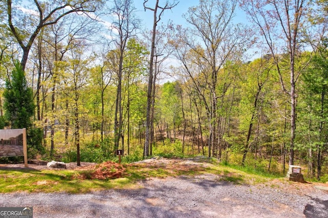 LOT1 Jakes Landing Way N, Ellijay, GA 30540