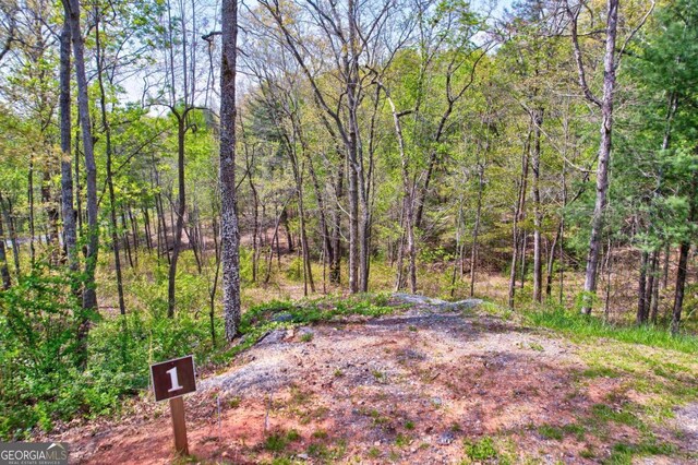 LOT1 Jakes Landing Way N, Ellijay, GA 30540