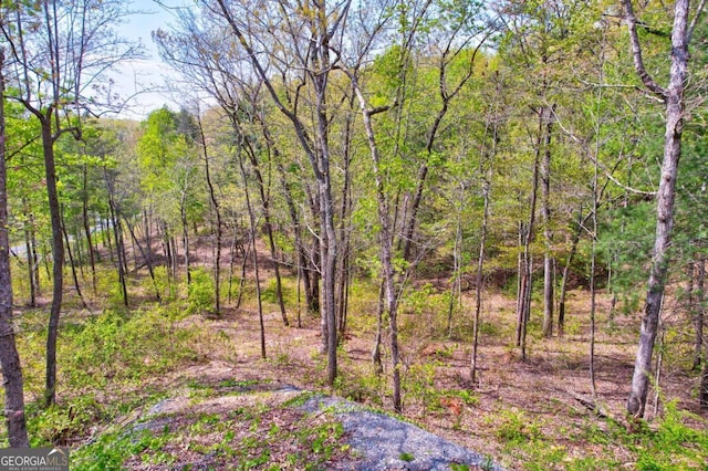 LOT1 Jakes Landing Way N, Ellijay, GA 30540