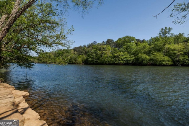930 Riverside Rd, Roswell, GA 30075 - water view featuring a heavily wooded area