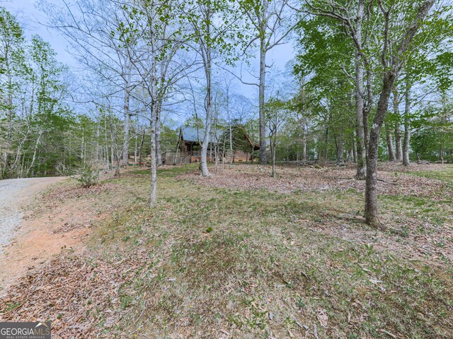 410 Whiskey Still Dr, Cleveland, GA 30528 - view of yard