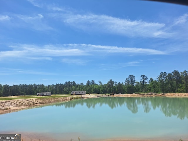 908 Bethel Freewill Rd, Baxley, GA 31513 - water view featuring a forest