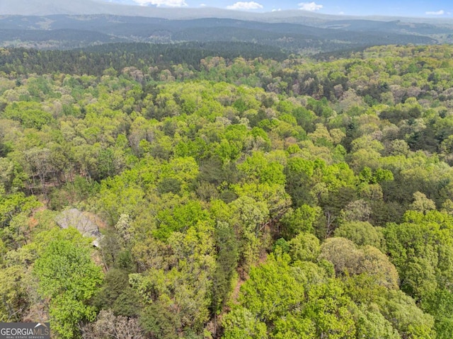 0 Ridge Rd, Dawsonville, GA 30534
