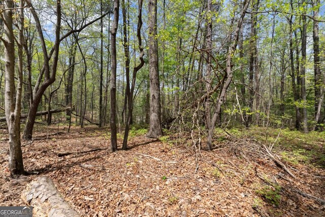 0 Ridge Rd, Dawsonville, GA 30534