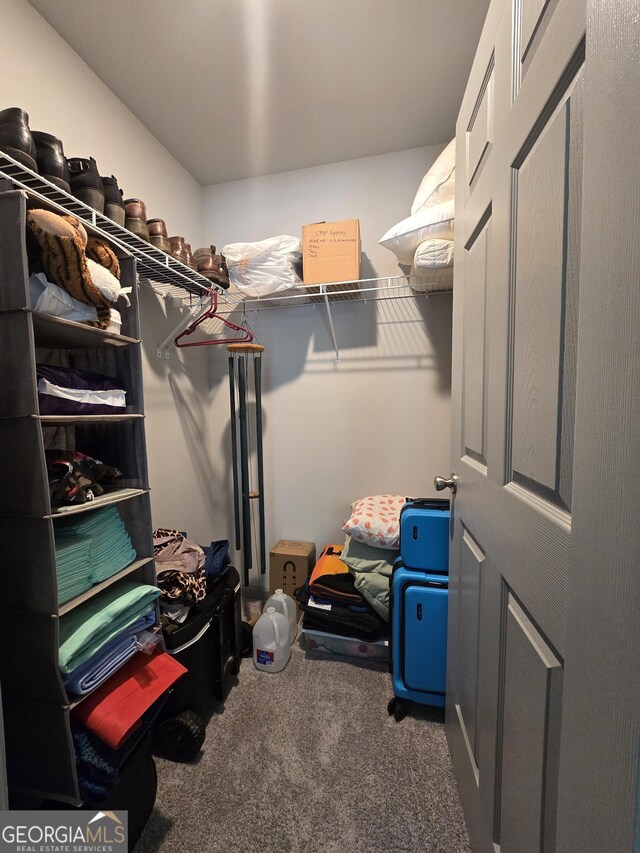 3202 Fairington Village Dr, Lithonia, GA 30038 - walk in closet with carpet