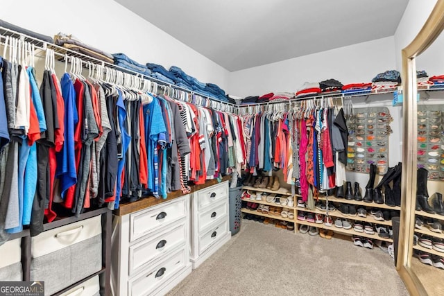 spacious closet featuring carpet floors