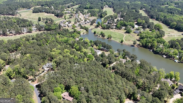1171 Club Cove Dr, Greensboro, GA 30642