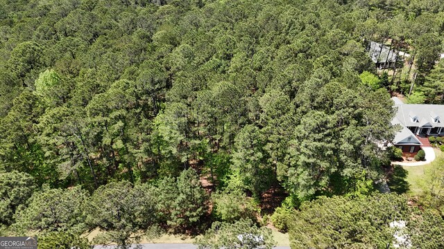1171 Club Cove Dr, Greensboro, GA 30642