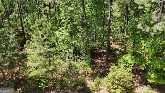 1171 Club Cove Dr, Greensboro, GA 30642