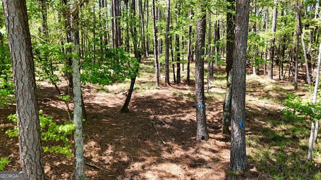 1171 Club Cove Dr, Greensboro, GA 30642
