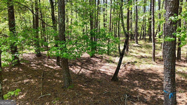 1171 Club Cove Dr, Greensboro, GA 30642