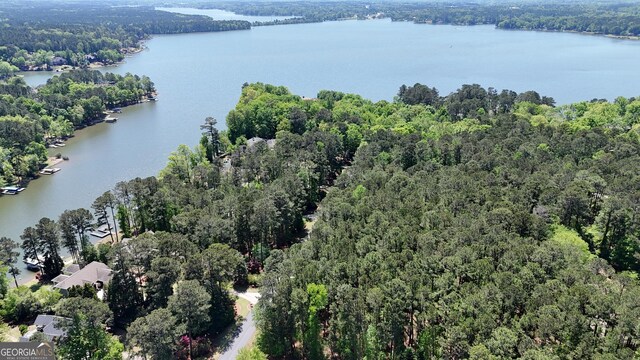1171 Club Cove Dr, Greensboro, GA 30642
