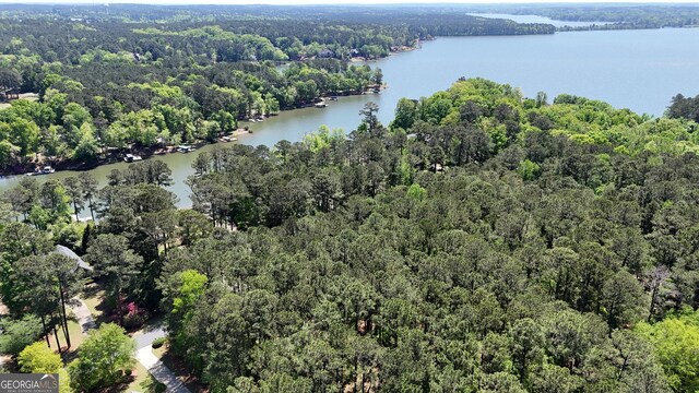 1171 Club Cove Dr, Greensboro, GA 30642