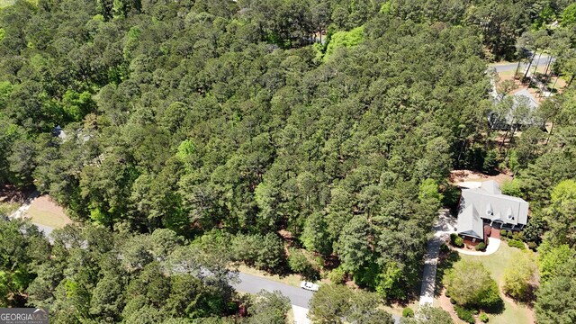 1171 Club Cove Dr, Greensboro, GA 30642