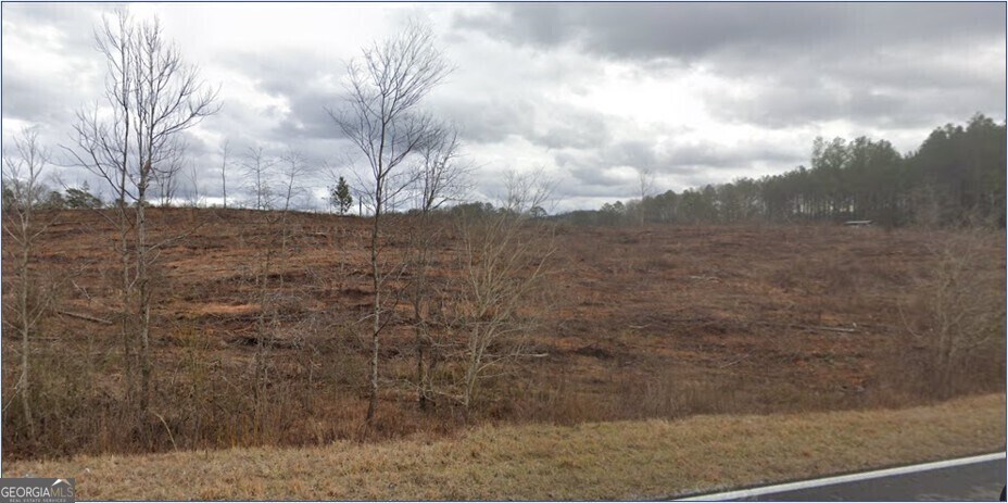 TRACT4 Bethlehem Church Rd, Buchanan, GA 30113