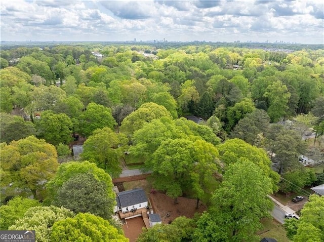 2086 Harold Ave SE, Smyrna, GA 30080 - aerial view of a forest