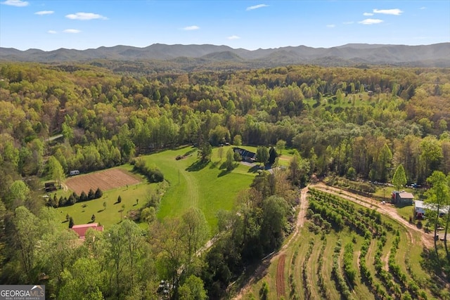 drone / aerial view featuring a view of trees and a mountain view