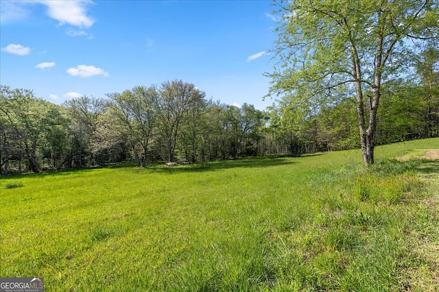 view of local wilderness featuring a view of trees