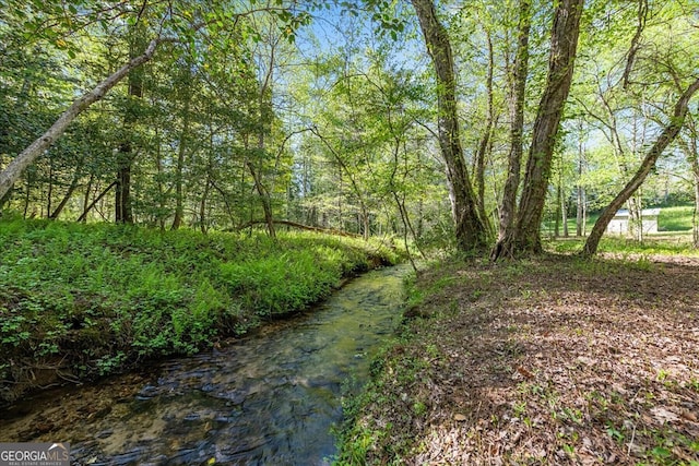 view of local wilderness
