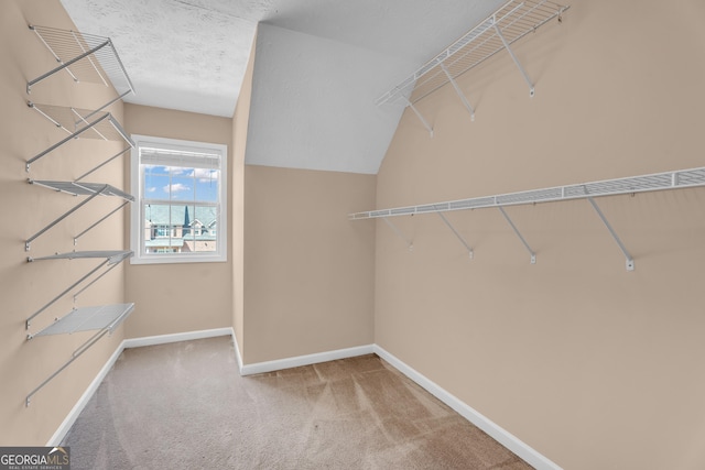 362 Interlake Pass, Mcdonough, GA 30252 - walk in closet featuring carpet flooring