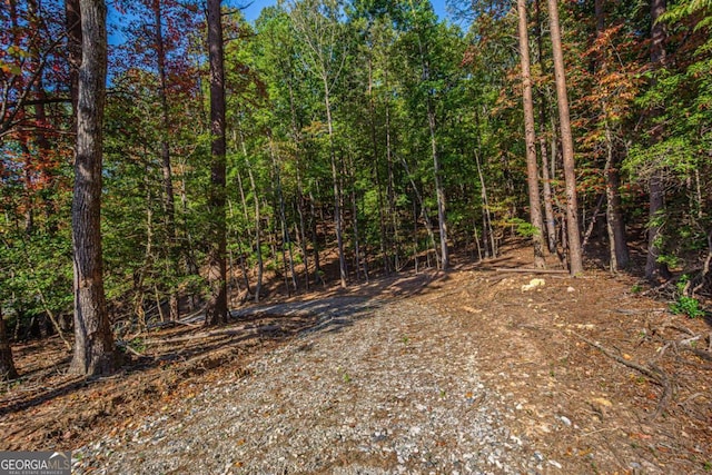 0 Ridgeway Rd, Dahlonega, GA 30533