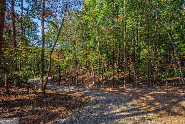 0 Ridgeway Rd, Dahlonega, GA 30533