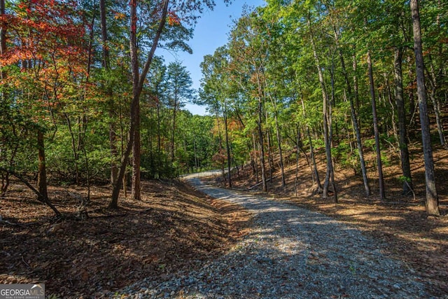 0 Ridgeway Rd, Dahlonega, GA 30533