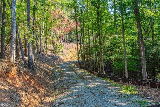 0 Ridgeway Rd, Dahlonega, GA 30533