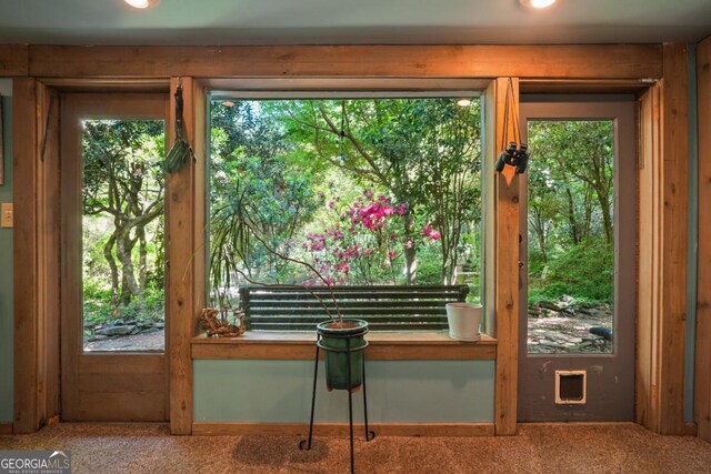 1144 Evergreen Dr NE, Atlanta, GA 30319 - doorway to outside with a healthy amount of sunlight and carpet