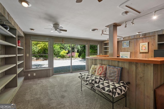 1144 Evergreen Dr NE, Atlanta, GA 30319 - living area with rail lighting, wood walls, a ceiling fan, and a bar