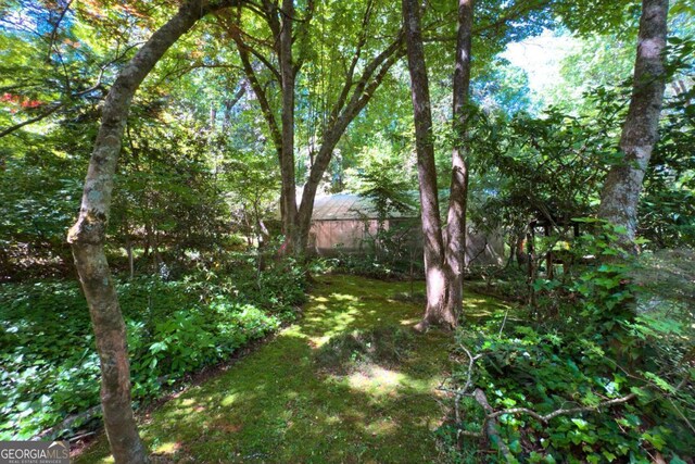 1144 Evergreen Dr NE, Atlanta, GA 30319 - view of yard