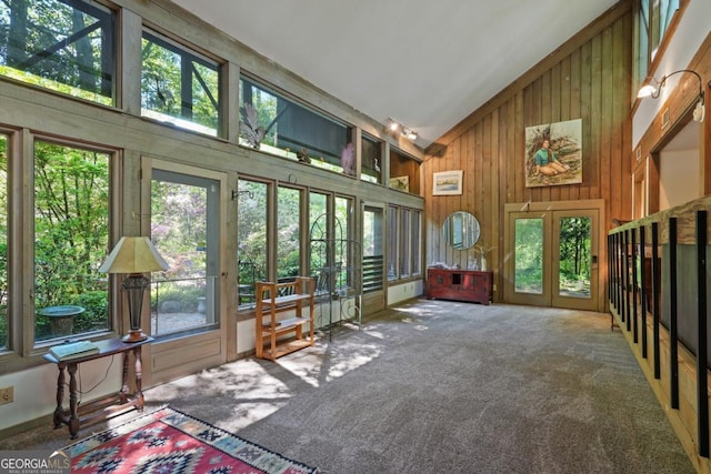 1144 Evergreen Dr NE, Atlanta, GA 30319 - sunroom with carpet, a healthy amount of sunlight, and french doors