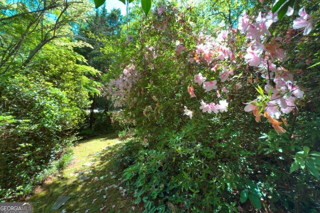 1144 Evergreen Dr NE, Atlanta, GA 30319 - view of local wilderness