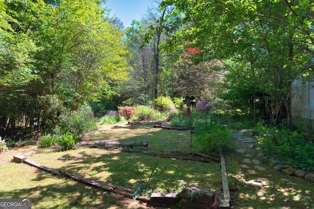1144 Evergreen Dr NE, Atlanta, GA 30319 - view of yard