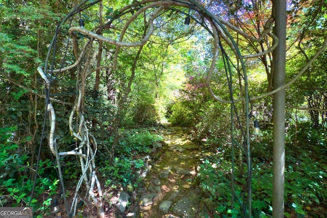 1144 Evergreen Dr NE, Atlanta, GA 30319 - view of local wilderness with a forest view