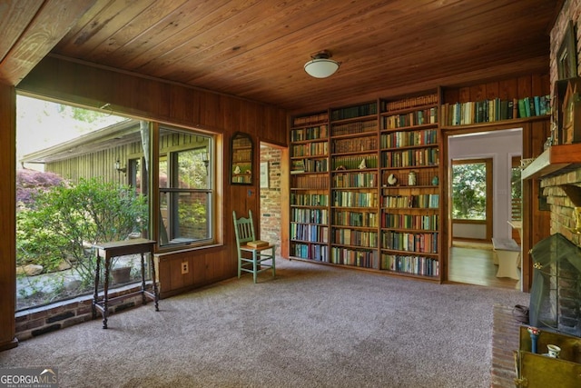 1144 Evergreen Dr NE, Atlanta, GA 30319 - unfurnished room featuring wood ceiling, a wealth of natural light, a brick fireplace, and wooden walls