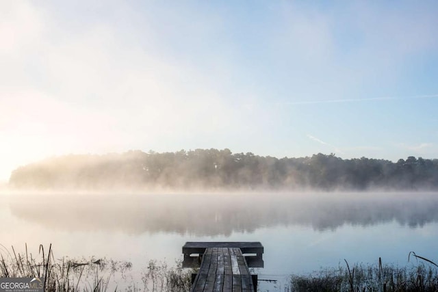 property view of water with a floating dock
