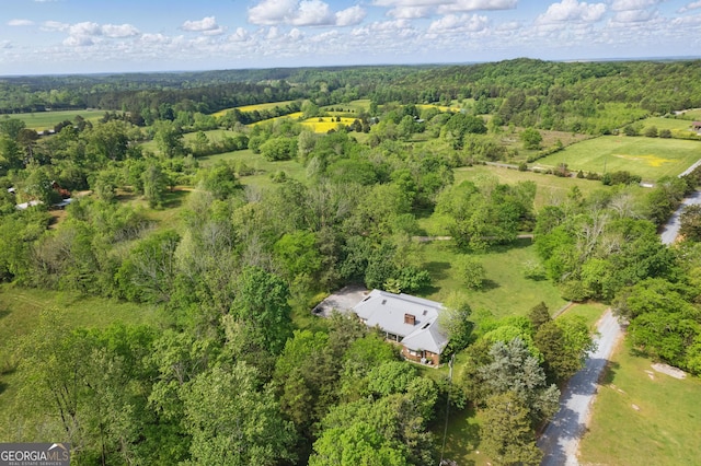 1009 Liberty Church Rd NE, Ranger, GA 30734 - aerial view of property and surrounding area with a forest
