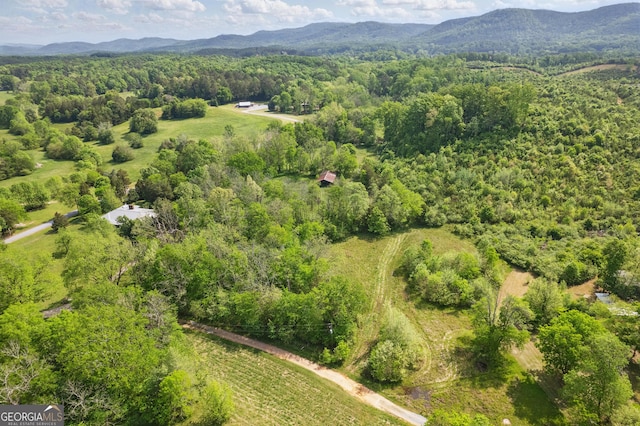 1009 Liberty Church Rd NE, Ranger, GA 30734 - aerial overview of property's location with mountains and a forest