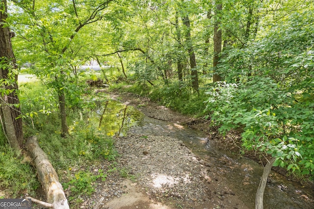 1009 Liberty Church Rd NE, Ranger, GA 30734 - view of wooded area