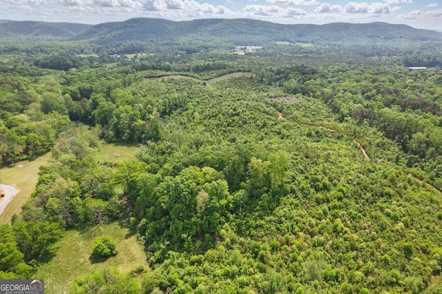 1009 Liberty Church Rd NE, Ranger, GA 30734 - drone / aerial view of a mountainous background and a heavily wooded area