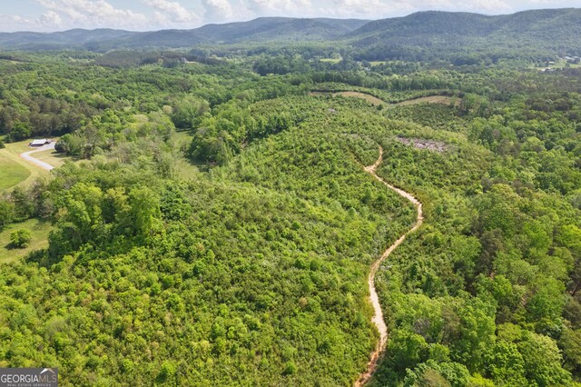 1009 Liberty Church Rd NE, Ranger, GA 30734 - bird's eye view of a forest and a mountain backdrop