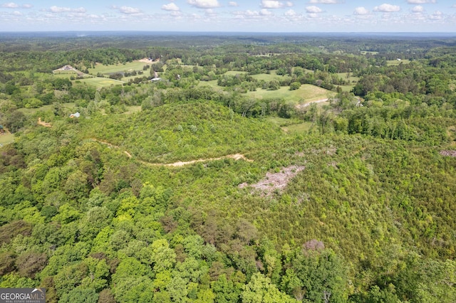 1009 Liberty Church Rd NE, Ranger, GA 30734 - aerial view of property's location with a heavily wooded area
