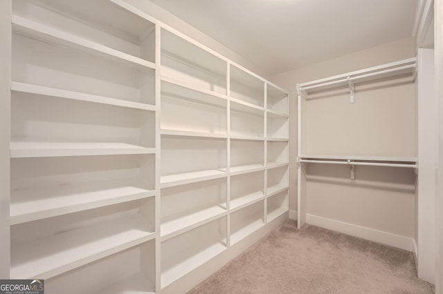 3699 School St, Chamblee, GA 30341 - spacious closet featuring carpet floors