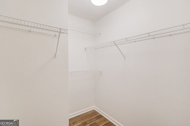 3987 Ivory Gables Pl, Buford, GA 30519 - walk in closet with dark wood finished floors