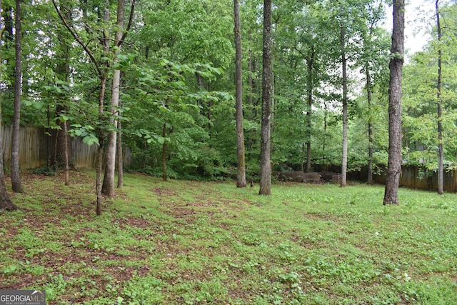 6503 Old Macon Hwy, Rex, GA 30273 - view of local wilderness featuring a forest view
