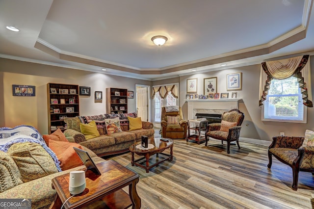 living room with crown molding, wood finished floors, a raised ceiling, and a healthy amount of sunlight