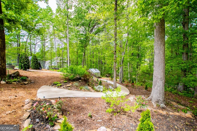 405 Adler Pt, Carrollton, GA 30117 - view of yard